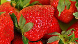 jahody strawberries-1303374 1280